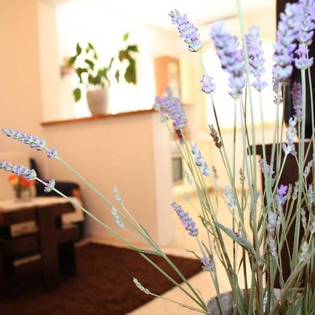 Apartment Anand Dubrovnik Buitenkant foto